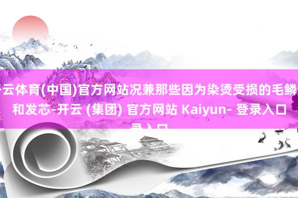 开云体育(中国)官方网站况兼那些因为染烫受损的毛鳞片和发芯-开云 (集团) 官方网站 Kaiyun- 登录入口