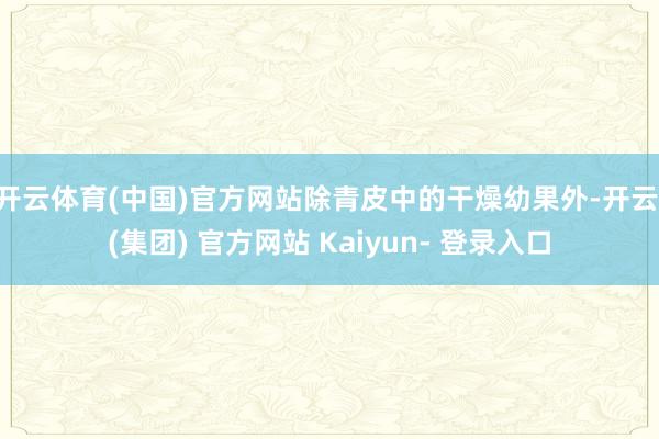 开云体育(中国)官方网站除青皮中的干燥幼果外-开云 (集团) 官方网站 Kaiyun- 登录入口
