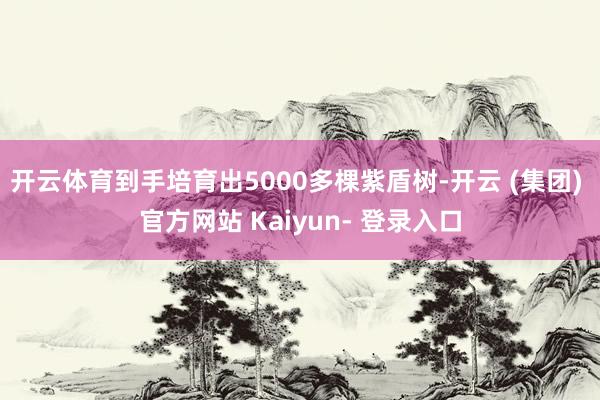 开云体育到手培育出5000多棵紫盾树-开云 (集团) 官方网站 Kaiyun- 登录入口