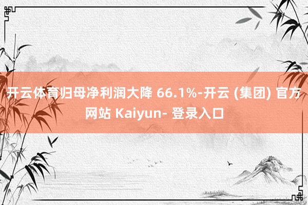 开云体育归母净利润大降 66.1%-开云 (集团) 官方网站 Kaiyun- 登录入口