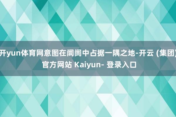 开yun体育网意图在阛阓中占据一隅之地-开云 (集团) 官方网站 Kaiyun- 登录入口