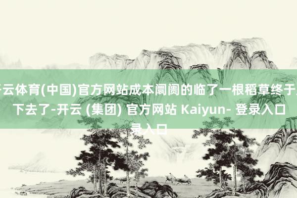 开云体育(中国)官方网站成本阛阓的临了一根稻草终于压下去了-开云 (集团) 官方网站 Kaiyun- 登录入口