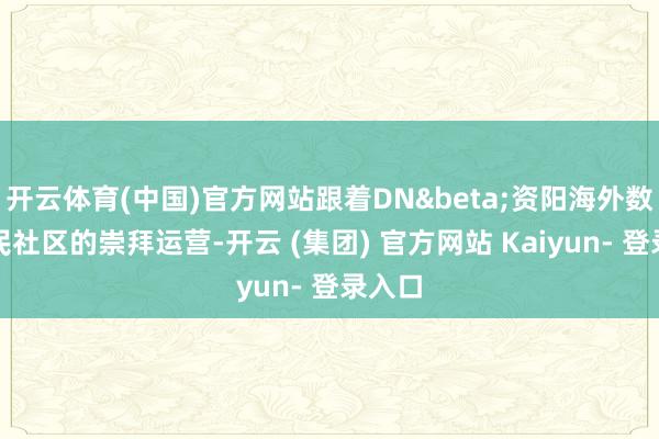 开云体育(中国)官方网站跟着DN&beta;资阳海外数字游民社区的崇拜运营-开云 (集团) 官方网站 Kaiyun- 登录入口