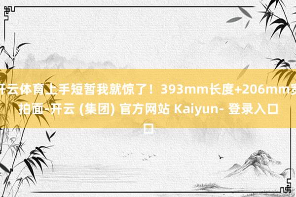 开云体育上手短暂我就惊了！393mm长度+206mm宽拍面-开云 (集团) 官方网站 Kaiyun- 登录入口