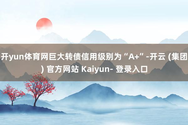 开yun体育网巨大转债信用级别为“A+”-开云 (集团) 官方网站 Kaiyun- 登录入口