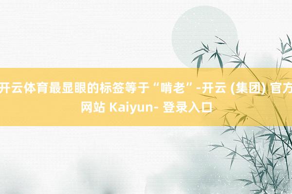 开云体育最显眼的标签等于“啃老”-开云 (集团) 官方网站 Kaiyun- 登录入口